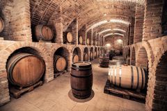 vinarska-firma-jizni-morava-2